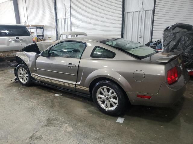 2005 Ford Mustang