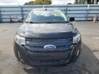 2011 Ford Edge Sport