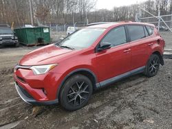 Salvage cars for sale at Baltimore, MD auction: 2016 Toyota Rav4 SE