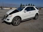 2009 Mercedes-Benz ML 350