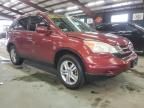 2010 Honda CR-V EXL