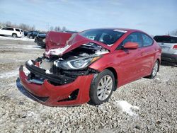 Salvage cars for sale at Columbus, OH auction: 2016 Hyundai Elantra SE