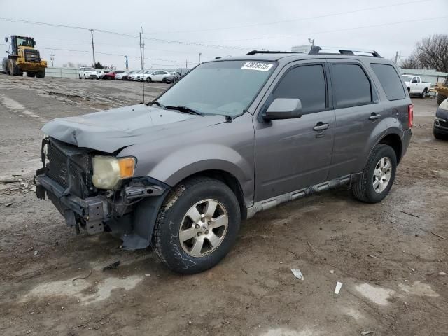 2009 Ford Escape Limited