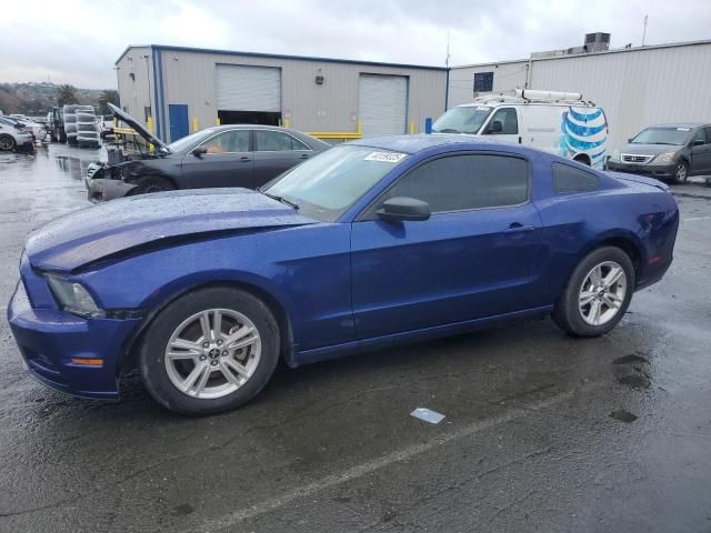 2013 Ford Mustang