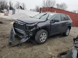 Toyota salvage cars for sale: 2024 Toyota Rav4 LE