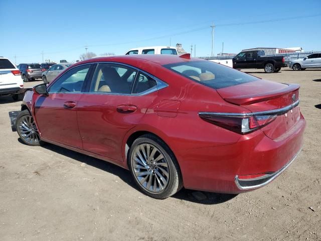 2024 Lexus ES 300H Base