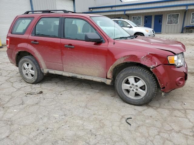 2009 Ford Escape XLS