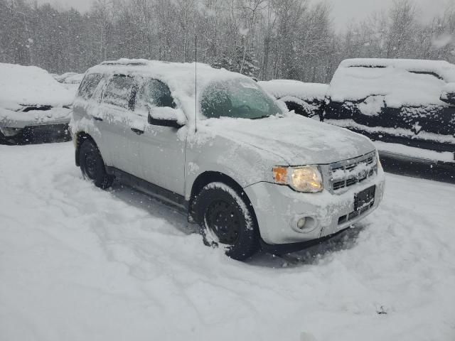 2011 Ford Escape XLT