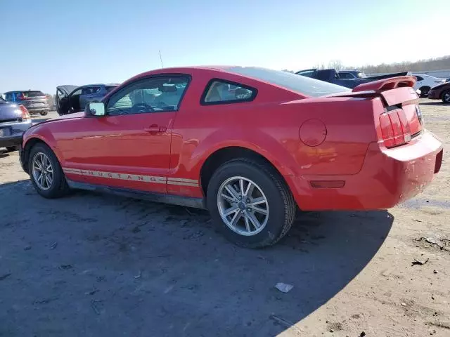 2005 Ford Mustang