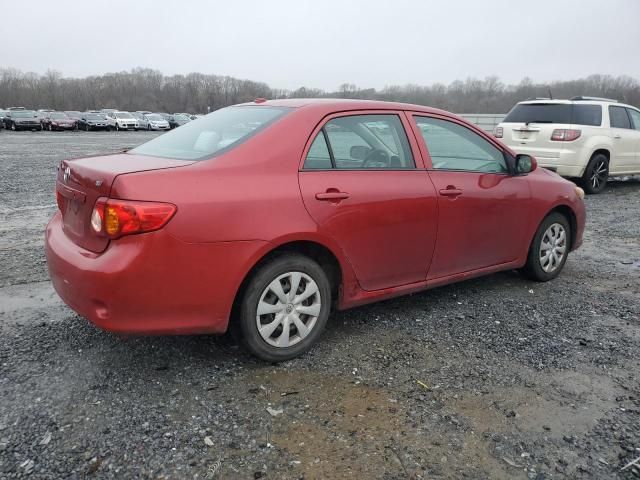 2010 Toyota Corolla Base