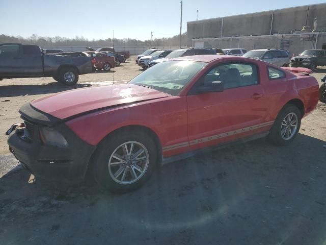 2005 Ford Mustang