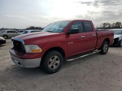 Dodge Vehiculos salvage en venta: 2010 Dodge RAM 1500