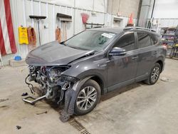 Toyota rav4 salvage cars for sale: 2017 Toyota Rav4 HV LE