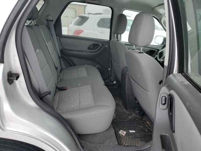 2007 Ford Escape XLT