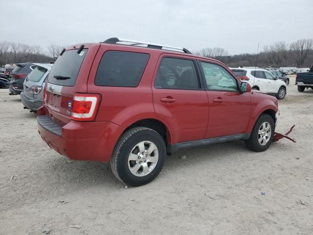 2011 Ford Escape Limited