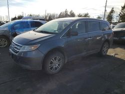 Salvage cars for sale at Denver, CO auction: 2012 Honda Odyssey EXL