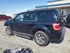 2010 Ford Escape Limited