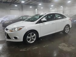 2014 Ford Focus SE en venta en Ham Lake, MN