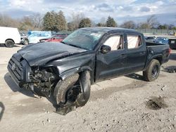 Carros salvage sin ofertas aún a la venta en subasta: 2023 Toyota Tacoma Double Cab