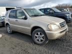 2003 Mercedes-Benz ML 500