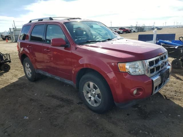 2010 Ford Escape Limited