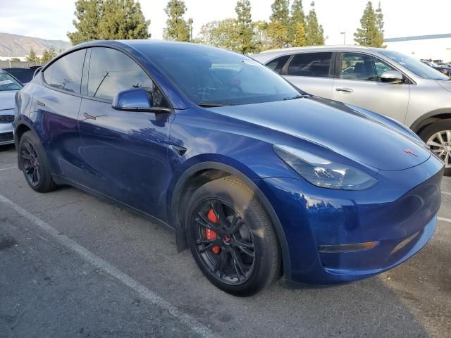 2024 Tesla Model Y