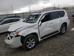 Salvage cars for sale at Magna, UT auction: 2013 Lexus GX 460 Premium