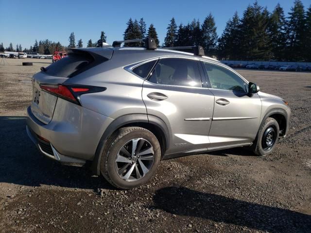 2020 Lexus NX 300H