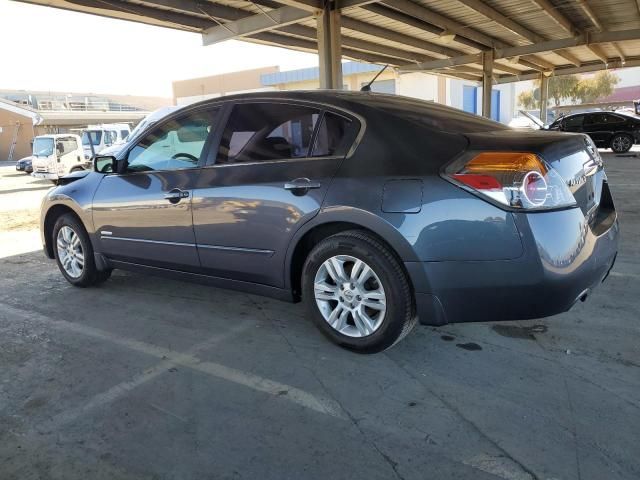 2010 Nissan Altima Hybrid