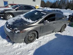 Salvage cars for sale from Copart Cookstown, ON: 2008 Honda Civic EXL