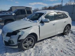 2015 Audi Q5 Prestige en venta en Wayland, MI