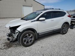 Salvage cars for sale at Lawrenceburg, KY auction: 2019 Honda CR-V EXL