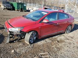 Salvage cars for sale at Baltimore, MD auction: 2019 Hyundai Ioniq Limited