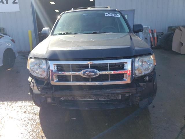 2008 Ford Escape HEV