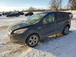 2013 Ford Escape SE en venta en London, ON