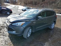 Salvage cars for sale at Marlboro, NY auction: 2016 Ford Escape Titanium