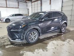 2020 Lexus NX 300 F Sport en venta en Lexington, KY