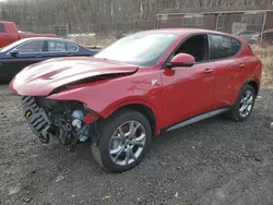 Dodge Hornet r/t Vehiculos salvage en venta: 2024 Dodge Hornet R/T