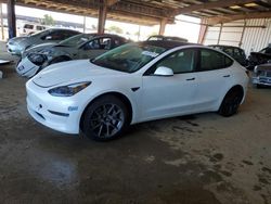 Salvage cars for sale at American Canyon, CA auction: 2021 Tesla Model 3