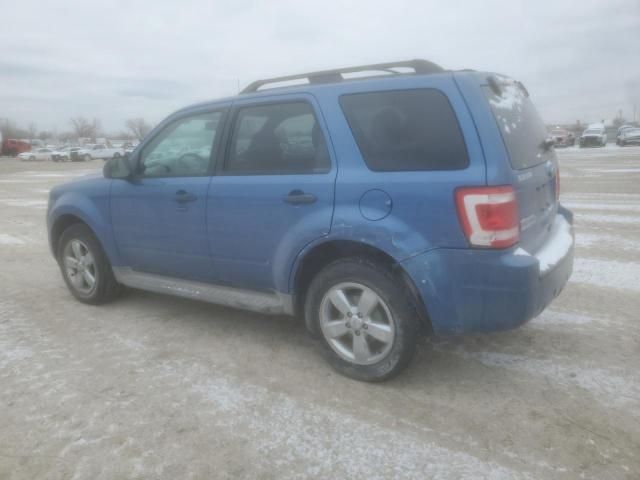 2010 Ford Escape XLT