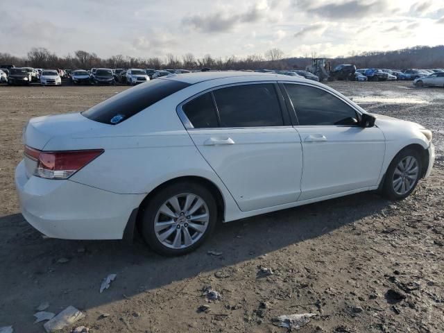 2011 Honda Accord EXL