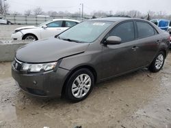 Salvage cars for sale at Louisville, KY auction: 2012 KIA Forte EX