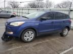 2013 Ford Escape S