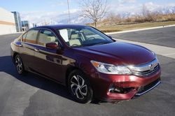 Honda Accord lx salvage cars for sale: 2017 Honda Accord LX