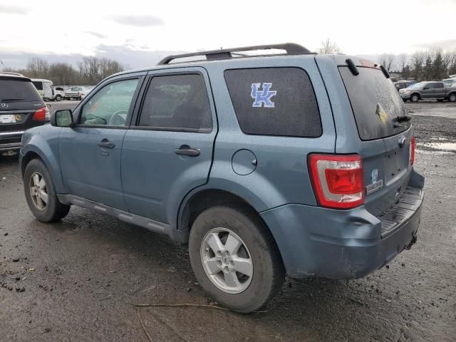 2012 Ford Escape XLT