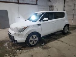 Salvage cars for sale at Lexington, KY auction: 2015 KIA Soul