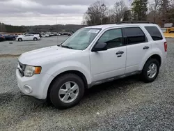 Salvage cars for sale at Concord, NC auction: 2011 Ford Escape XLT