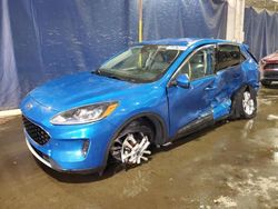 Ford Escape se salvage cars for sale: 2020 Ford Escape SE