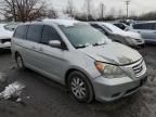 2009 Honda Odyssey EXL