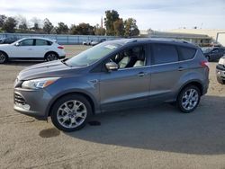 Salvage cars for sale at Martinez, CA auction: 2014 Ford Escape Titanium